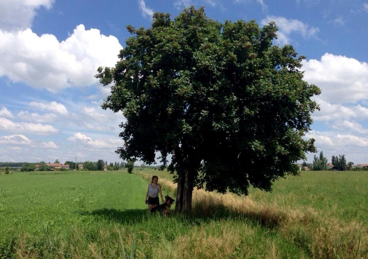 B&B Antica Cascina Boretto Екстериор снимка